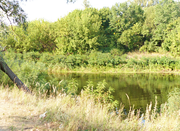 pond in Ukraine